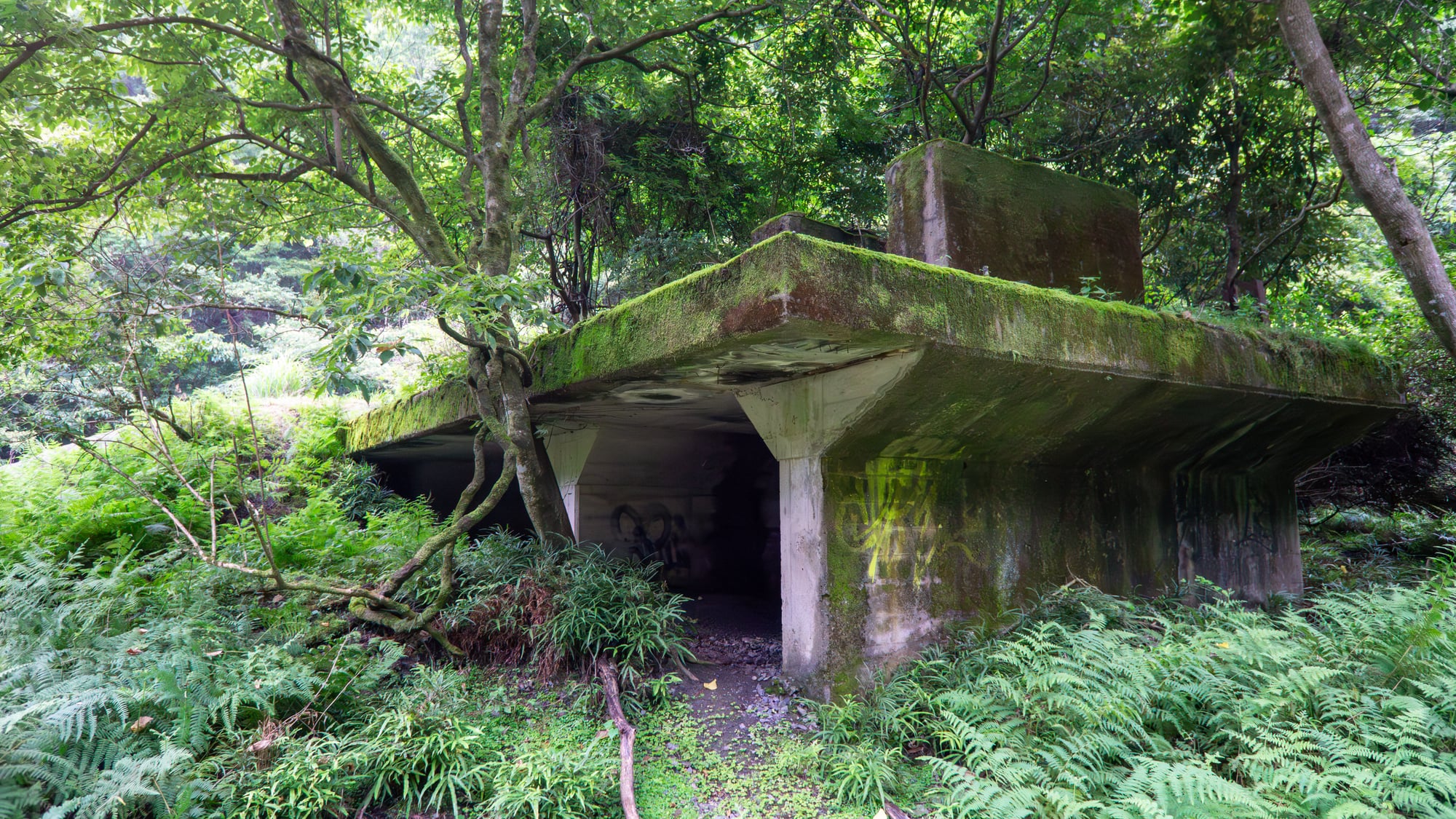 喜撰山ダム採石施設跡 5